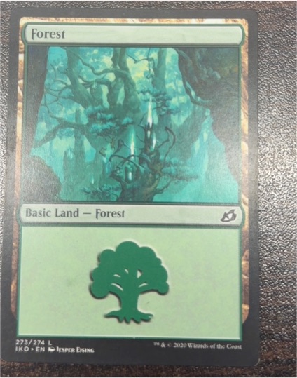 2020 Magic: The Gathering Ikoria: Lair of Behemoths #273 Forest — front
