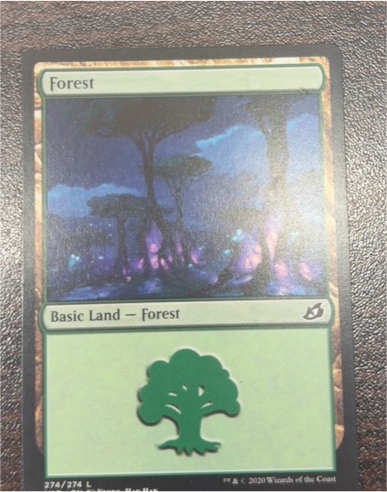 2020 Magic: The Gathering Ikoria: Lair of Behemoths #274 Forest — front