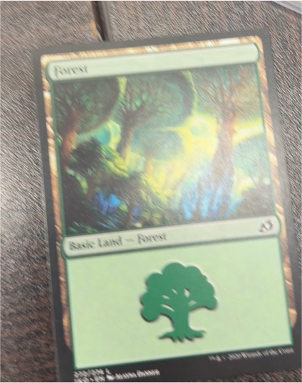 Forest #277/280 Land (Basic) Core Set: 2020 M20 — front