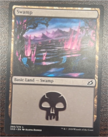 2020 Magic: The Gathering #266 Swamp — front