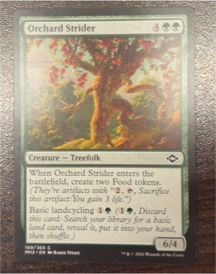 2021 Modern Horizons 2 #169 Orchard Strider — front