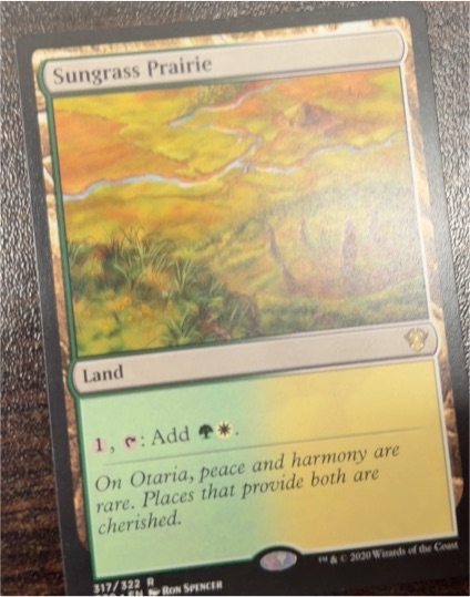 Sungrass Prairie 317/322 Commander 2020 — front