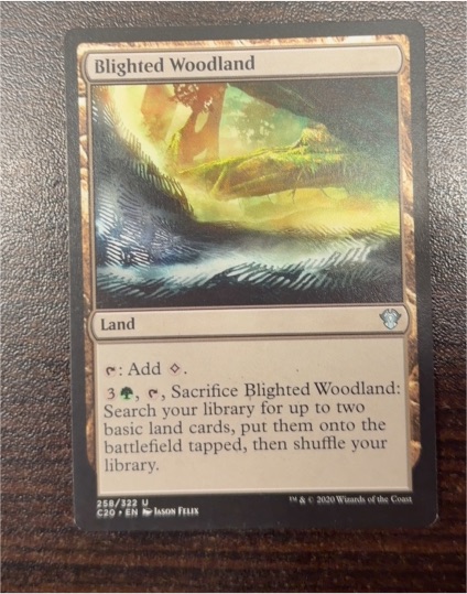 2020 Magic: The Gathering #258 Blighted Woodland — front