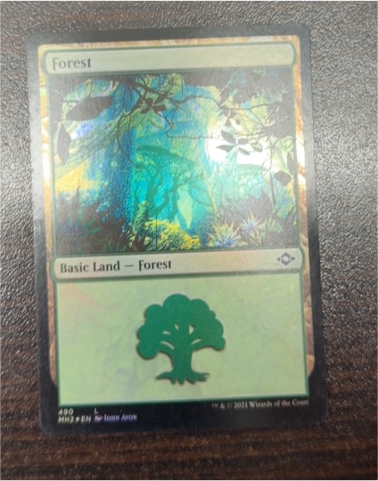 2021 Magic: The Gathering #490 Forest — front