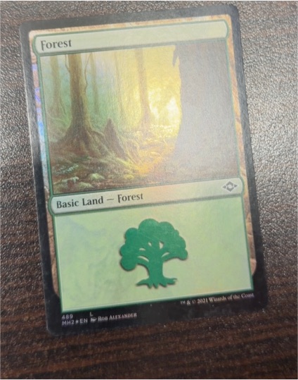 2021 Magic: The Gathering MH2 #489 Forest — front