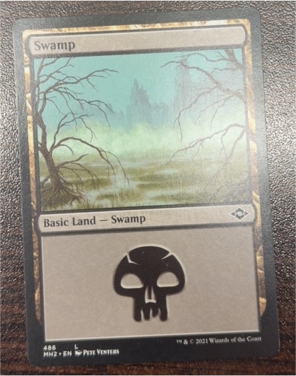 2021 Modern Horizons 2 #486 Swamp — front
