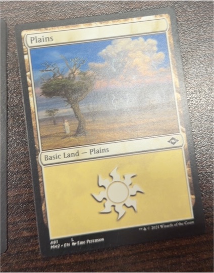 Magic: The Gathering 2021 Modern Horizons 2 #481 Plains — front