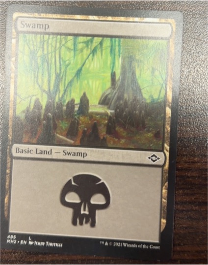 Magic: The Gathering 2021 Modern Horizons 2 #485 Swamp — front