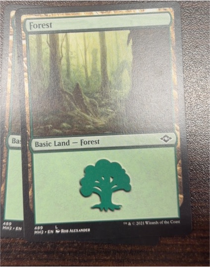 2021 Magic: The Gathering MH2 #489 Forest — front