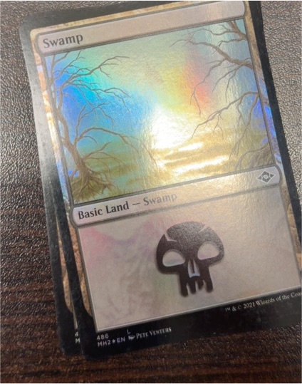 2022 Magic: The Gathering #486 Swamp — front