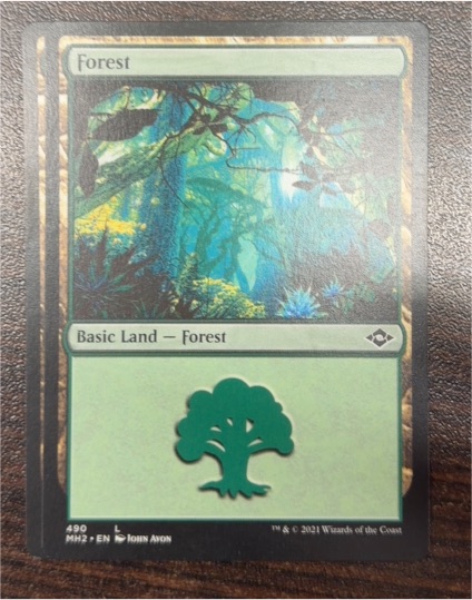 2021 Modern Horizons 2 #490 Forest — front