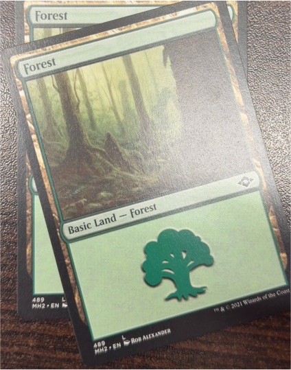 Magic: The Gathering 2021 MH2 #489 Forest — front