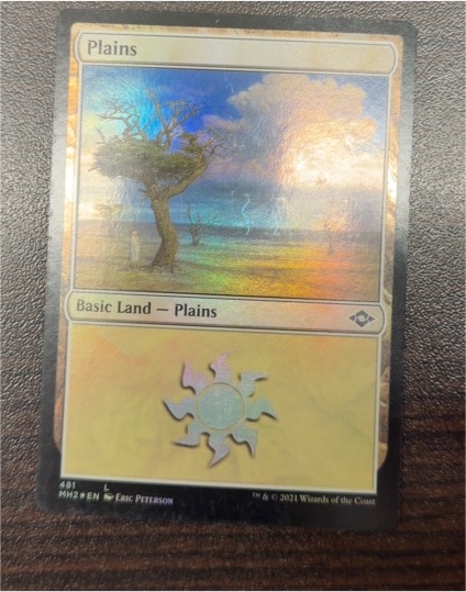 2021 Magic: The Gathering #481 Plains — front