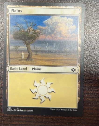 2021 Magic: The Gathering Modern Horizons 2 #481 Plains — front