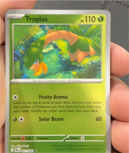 2026 Pokémon #001 Tropius — front
