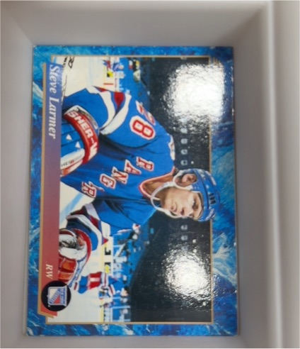 1993-94 Score #497 Steve Larmer — front