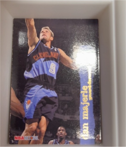 1995-96 NBA Hoops #299 Dan Majerle — front