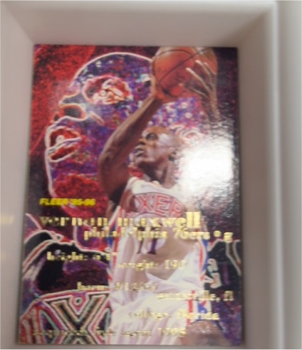 1995-96 Fleer #245 Vernon Maxwell — front