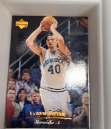 1995-96 Upper Deck #279 Loren Meyer — front