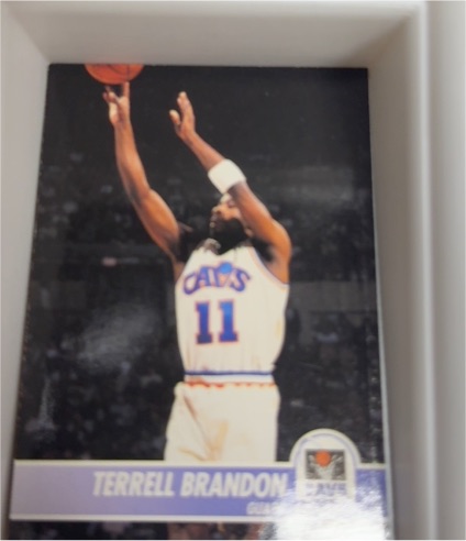 1993-94 SkyBox Premium #49 Terrell Brandon — front