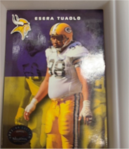 1993 SkyBox Premium #163 Esera Tuaolo — front