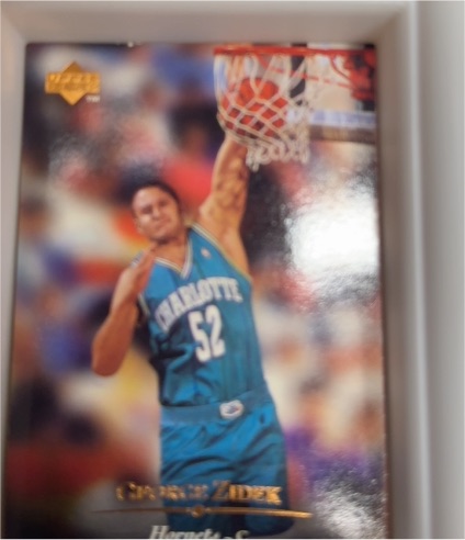 1995-96 Upper Deck #110 George Zidek — front