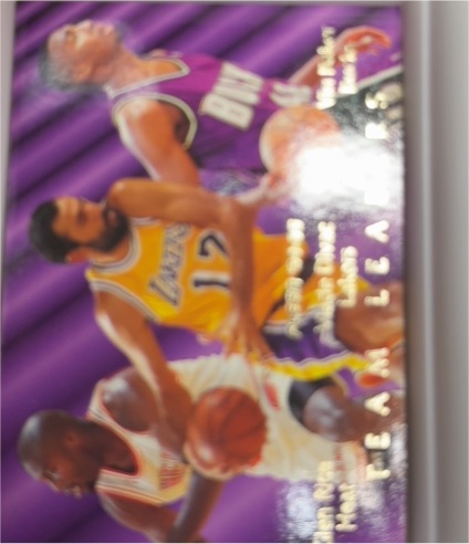 1994-95 Fleer #5 Glen Rice / Vlade Divac / Vin Baker Team Leaders — front