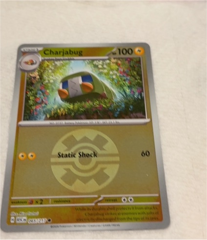 2023 Pokémon Ascended Heroes #065 Charjabug — front