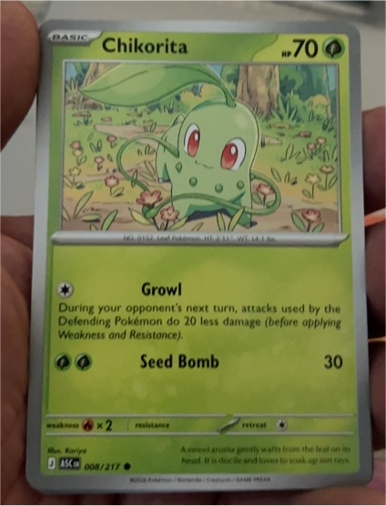 2026 Pokémon TCG Ascended Heroes #008 Chikorita — front