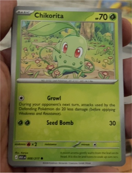 2026 Pokémon 008 Chikorita — front