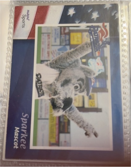 2009 Somerset Patriots Multi-Ad #33 Sparkee Mascot — front