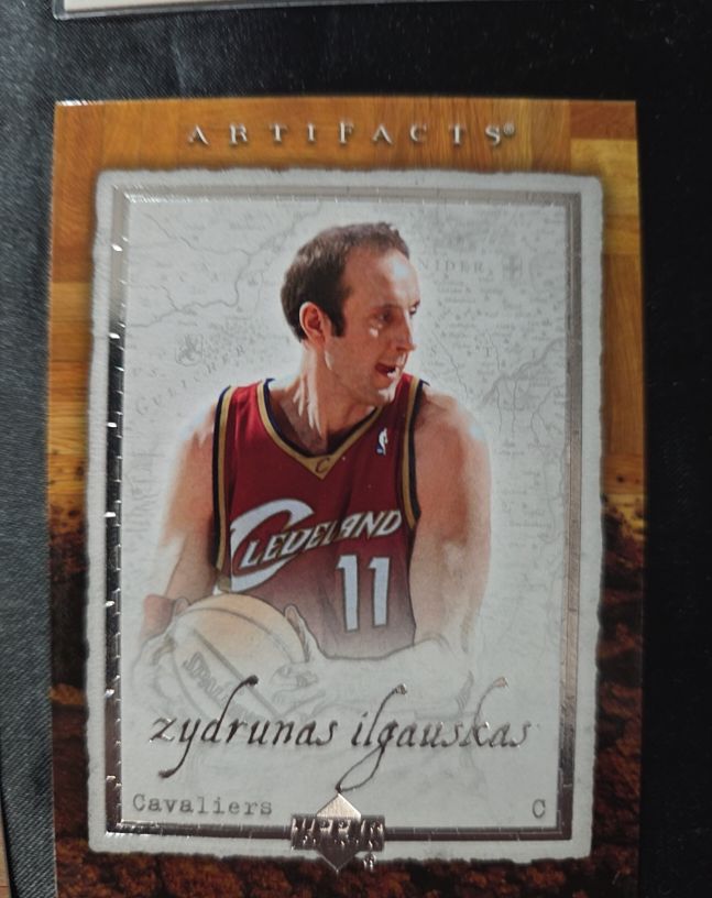2007 Upper Deck Artifacts #18 Zydrunas Ilgauskas — front
