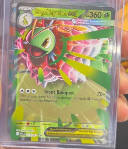 2022 Pokémon Ascended Heroes #010 Mega Meganium ex — front