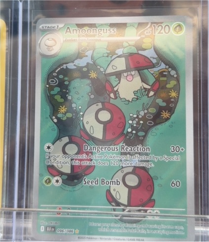 2025 Pokémon Scarlet & Violet Black Bolt #096 Amoonguss — front
