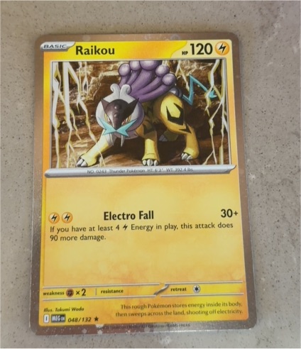 2014 Pokémon ME01 #048 Raikou — front