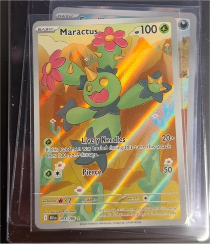 2025 Pokémon SV: Black Bolt #093 Maractus — front