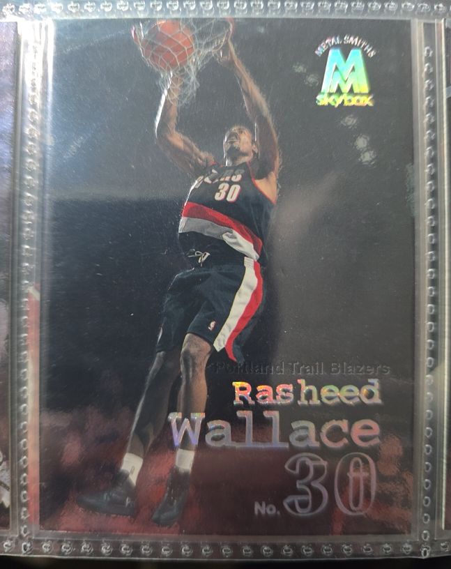1998-99 Skybox Molten Metal #93 Rasheed Wallace — front