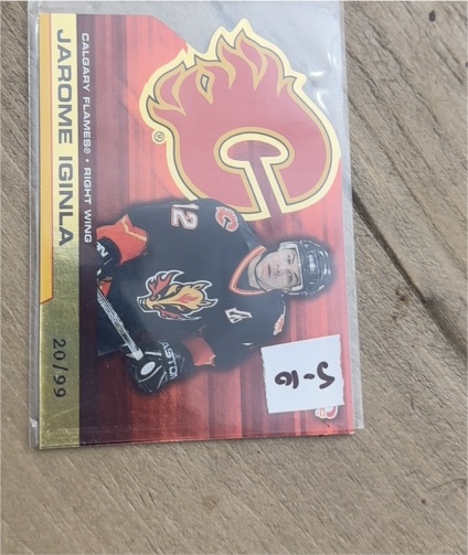 2002-03 Pacific Atomic #13 Jarome Iginla — front