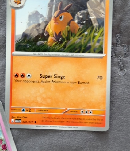 2026 Ascended Heroes #30 Pignite — front