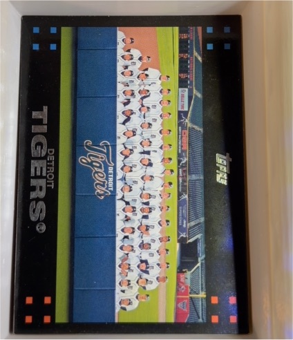 2007 Topps #597 Detroit Tigers Team Card — front