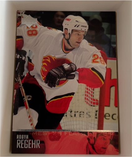 2003-04 Upper Deck #276 Robyn Regehr — front