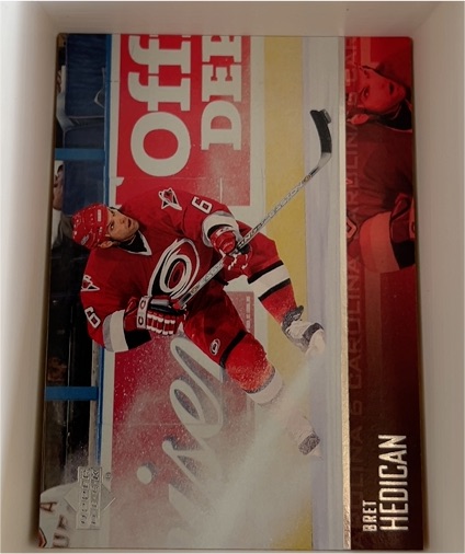 2003-04 Upper Deck #281 Bret Hedican — front