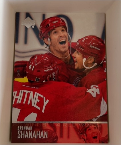 2003-04 Upper Deck #309 Brendan Shanahan — front