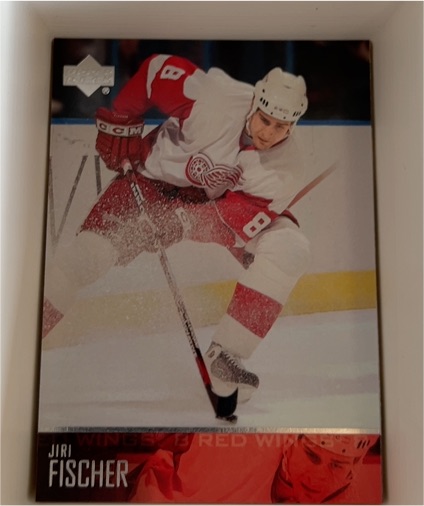 2003-04 Upper Deck #313 Jiri Fischer — front