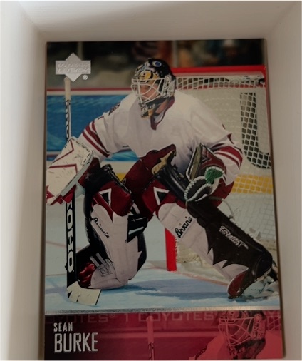 2003-04 Upper Deck #397 Sean Burke — front