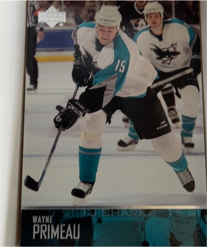 2003-04 Upper Deck #405 Wayne Primeau — front