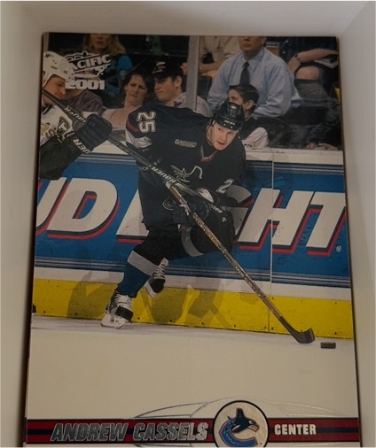 2001-02 Pacific #379 Andrew Cassels — front