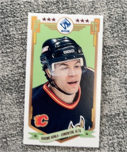 2001-02 Private Stock PS 2002 Mini #10 Jarome Iginla — front