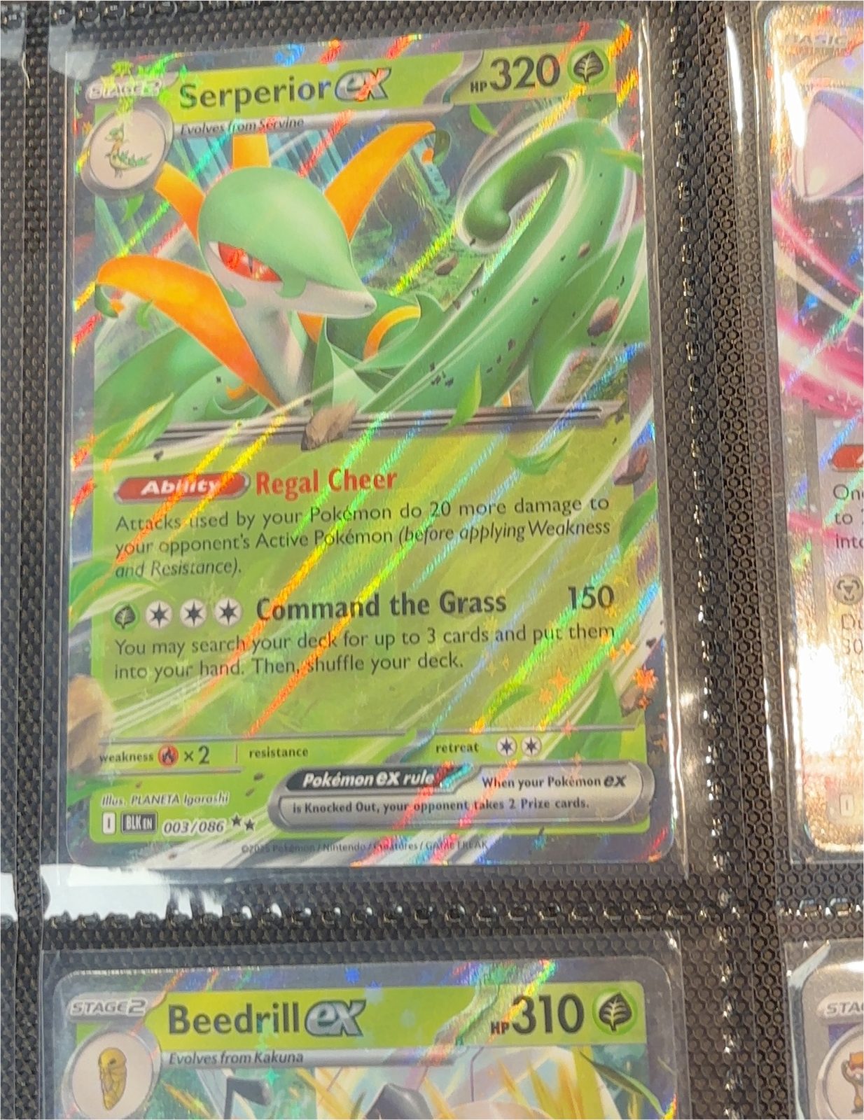 2025 Pokémon Black Bolt #003 Serperior ex — front