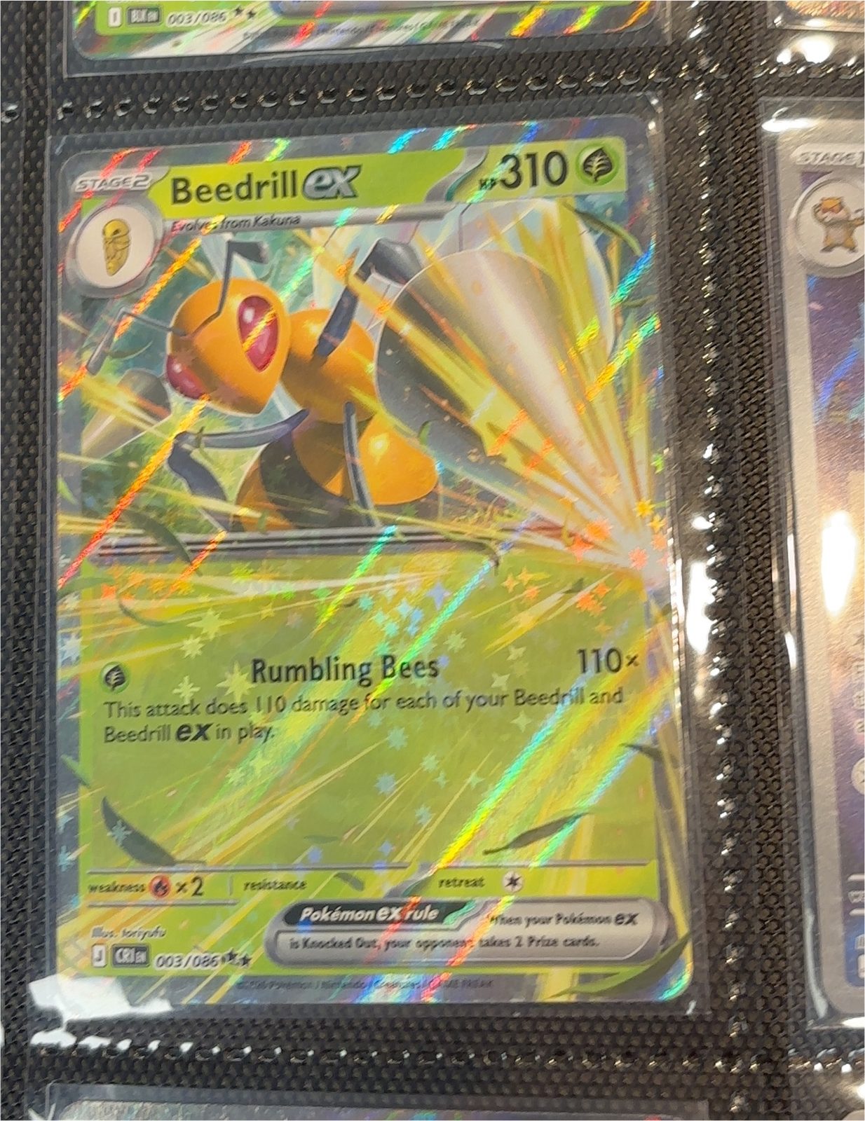 2026 Pokémon Beedrill ex #003 — front
